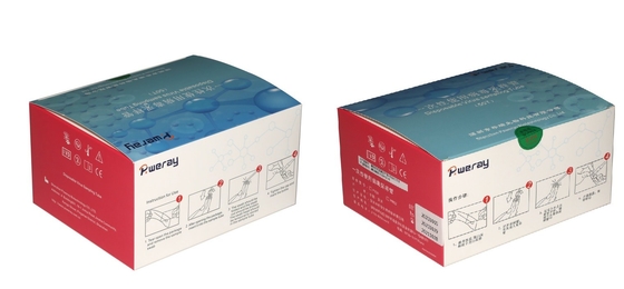 3ML Covid-19のための使い捨て可能なVTMテスト キットのウイルスの見本抽出