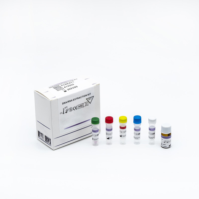 Covid 19 Nasopharyngeal綿棒とのウイルスPCRの試薬のキット実時間PCR