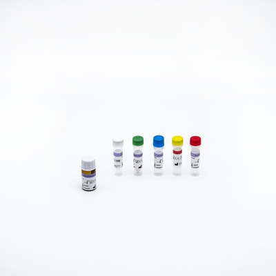 Covid 19 Nasopharyngeal綿棒とのウイルスPCRの試薬のキット実時間PCR